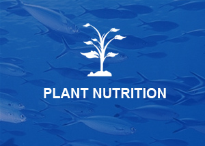 Plant nutrition