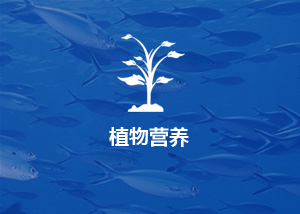 植物營養