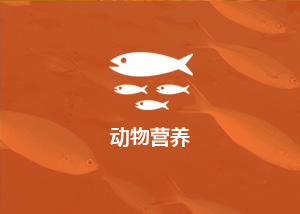 動物營養